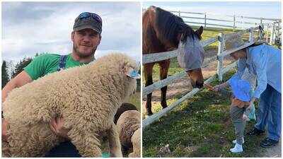 Inside Chris Pratt’s 100-acre Washington ranch with sheep, pigs and award-winning wool, where farm life helps him slow down away from Hollywood