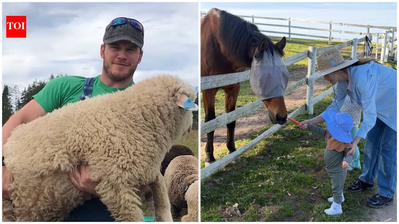 Inside Chris Pratt’s 100-acre Washington ranch with sheep, pigs and award-winning wool
