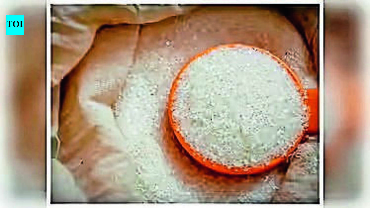 West Bengal Food Ministry Anticipates Retail Sugar Price Decline Ahead of Festivals