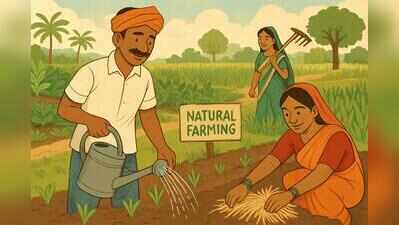 Governor seeks higher subsidies on natural farming