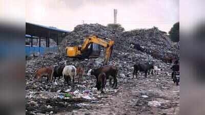 Mohali’s garbage mess: Jagatpura dump turns into another civic failure