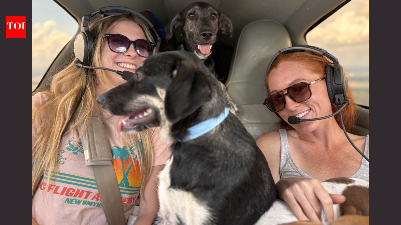 Florida volunteer pilots started flying animals out of overcrowded shelters in 2010