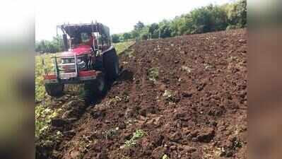 Distressed farmers in Maharashtra run tractors over failing soybean crops