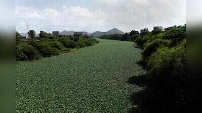 PCMC seeks time from NGT to assess internal funds for Pavana cleanup after state denies aid