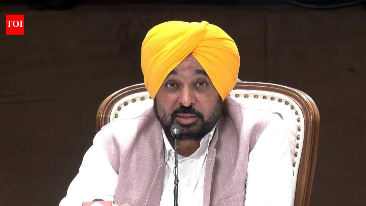 Mann to meet protesting govt employees tomorrow