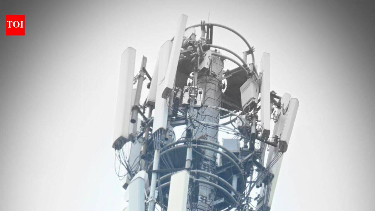 Chhattisgarh’s ‘Veeru’ climbs 60ft tower, continues 4-hour drama for ‘ghar pe izzat’