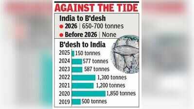 Reverse flow: Now, India set to export 700 tonnes of prized hilsa to Bangladesh