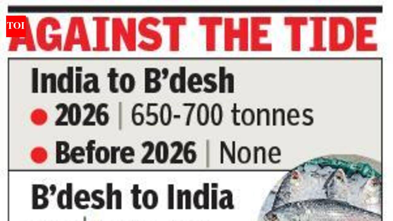 Reverse flow: Now, India set to export 700 tonnes of prized hilsa to Bangladesh