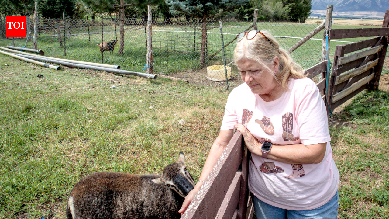 Utah couple's 14-year effort saves their 25.5-acre farm from becoming a subdivision