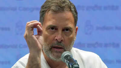 'Have a spine, don't lie down in front of Trump': Rahul flays PM Modi over 'UPI tax'