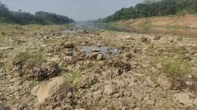 Baripada fossil reveals deep secrets of prehistoric sea