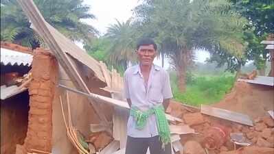 Man injured as elephant herd destroys homes, standing crops in Dhanbad village