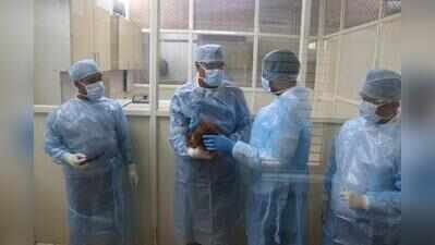 Experts collect samples to assess rescued orangutans' health