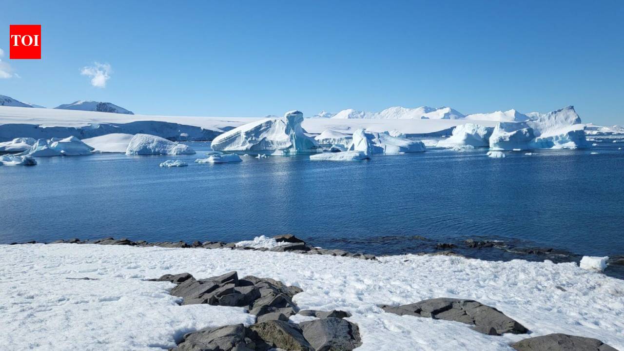 Greenland, Antarctica have lost 11,309 billion tonnes of ice since 1979, raising sea levels by 31.4 mm