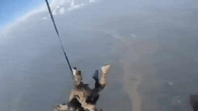 'Paws in the sky': Paratrooper makes unique tandem jump with combat canine, handler - video