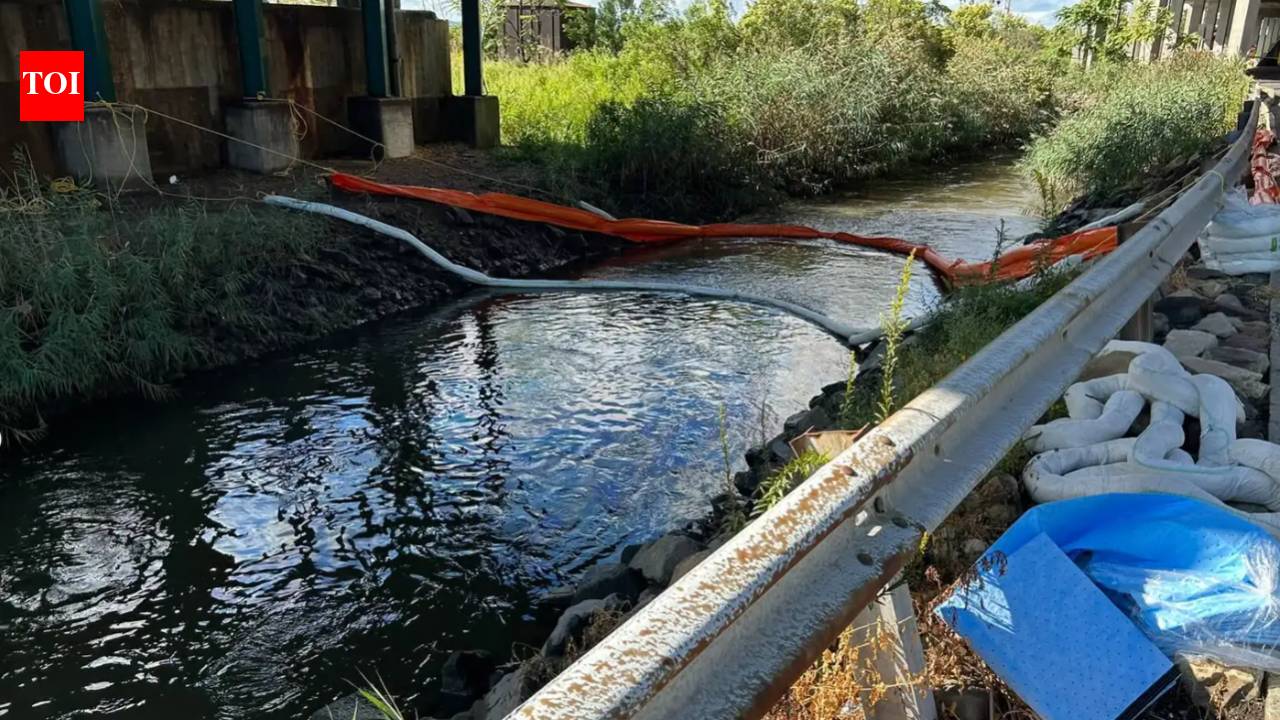 5,000 gallons of diesel spill from New Jersey data centre into creek; cleanup underway
