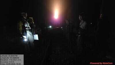 Elephant seriously injured in Hojai train collision
