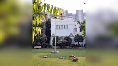 LG Hospital gets modern postmortem unit, 18-body mortuary