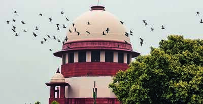  SC