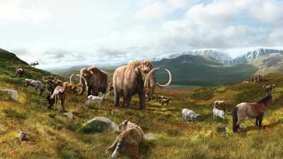 15,000 years ago, enormous mammals like mammoths, large horse species dominated North America: How they went extinct
