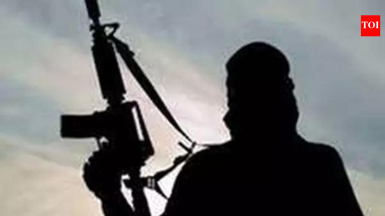 Security Forces Eliminate Two Terrorists in Udhampur Encounter