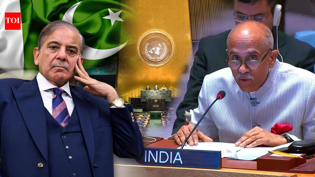 ‘9/11 Masterminds Were Not Hiding In Caves’: India Targets Pakistan At UNSC, Flags Afghan Crisis