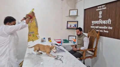 Watch: Fed up with dog menace, Yuva Sena workers release strays inside Nashik civic chief’s office