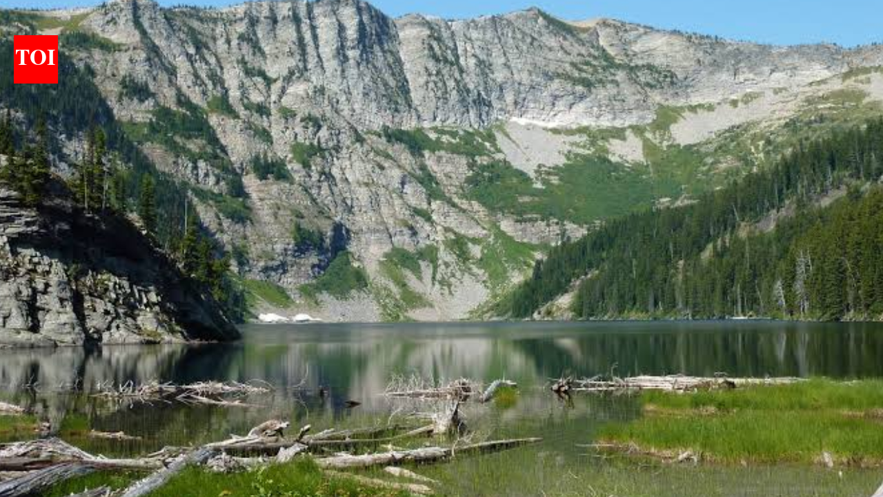 Second Phase Of Easement: Montana pursues $17.1mn timberland deal; public can weigh in by September 26