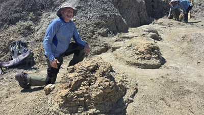 High school teacher searching for fossils discovers four footprints later confirmed as first reported T. rex trackway, dating back 66.5 million years