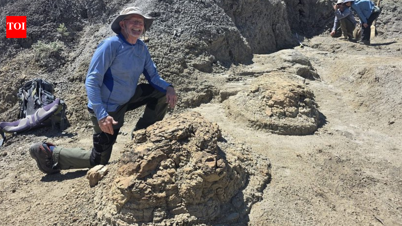 High school teacher discovers first reported T. rex trackway dating back 66.5 million years