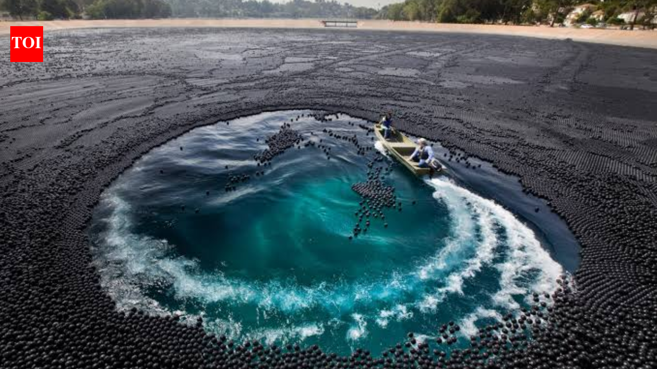 Los Angeles once used 96 million plastic balls to fight drought, creating a hidden cost