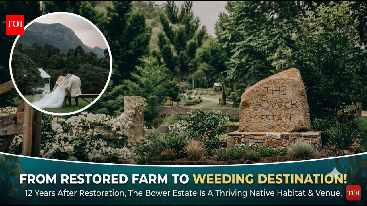 Where forest weddings help restore 120 acres of habitat