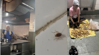 FDA suspends licences of Mumbai's Olympia Coffee House, Nair Hospital canteen over food safety violations