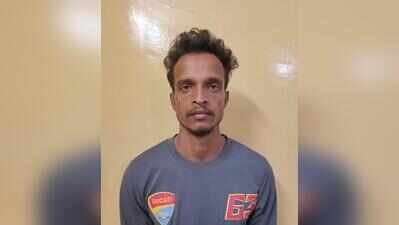 Quarrel turns fatal: Man arrested for murdering live-in partner in Bengaluru