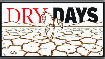 Mysuru stocks fodder for 37 weeks as drought hits eight taluks