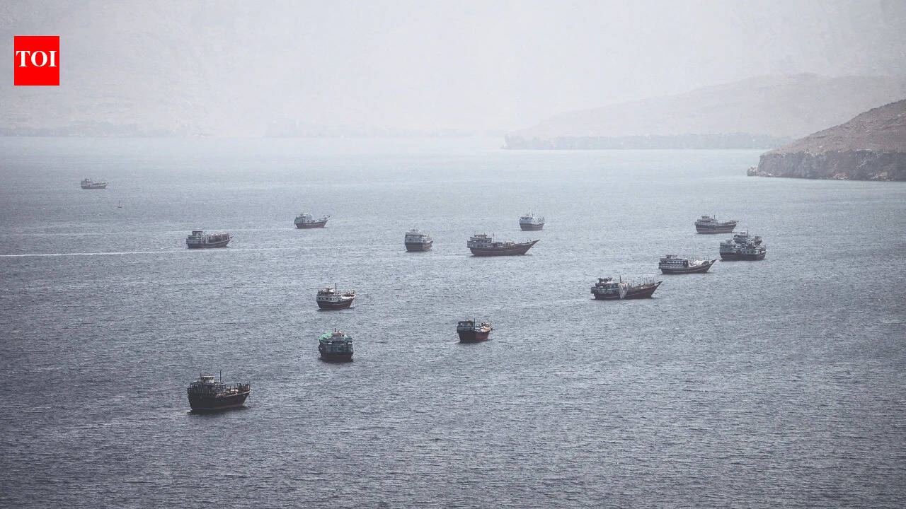 Sohar emerges as India’s gateway to GCC as Hormuz crisis reshapes shipping