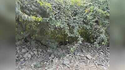Garbage, debris, dust: Scenic Aravali road is now a hotbed of civic failure
