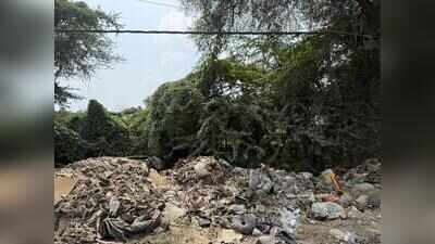 Garbage, debris, dust: Scenic Aravali road is now a hotbed of civic failure