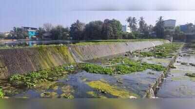 Cooum Check dams could help track and tackle pollution: study