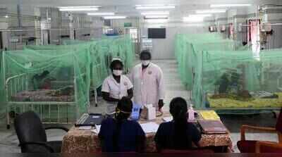 Dengue cases cross 16,000 in TN, health dept says rise not abnormal