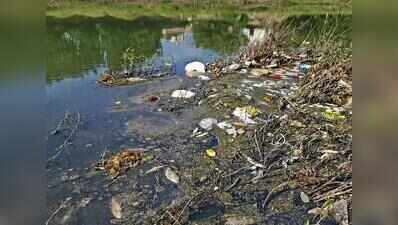 Dead fish in rivers: Activists flag official inaction, seek probe
