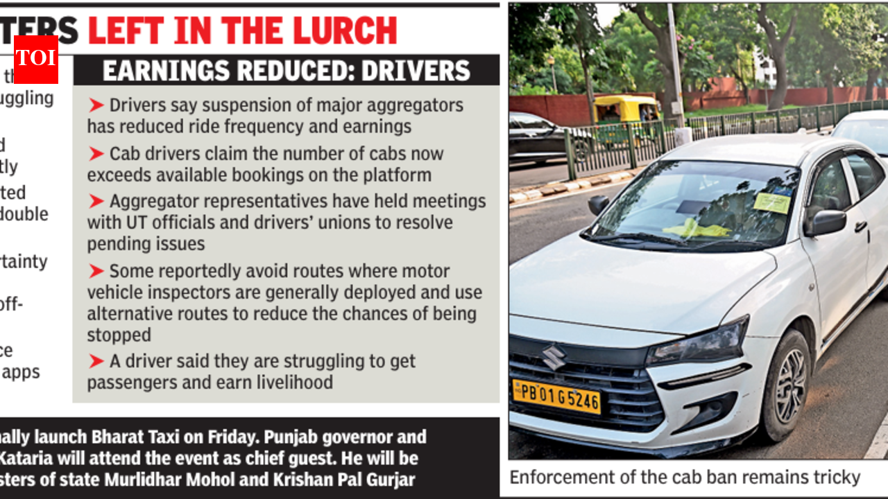 Transit Controls and Driver Protests Squeeze Commuters in Chandigarh