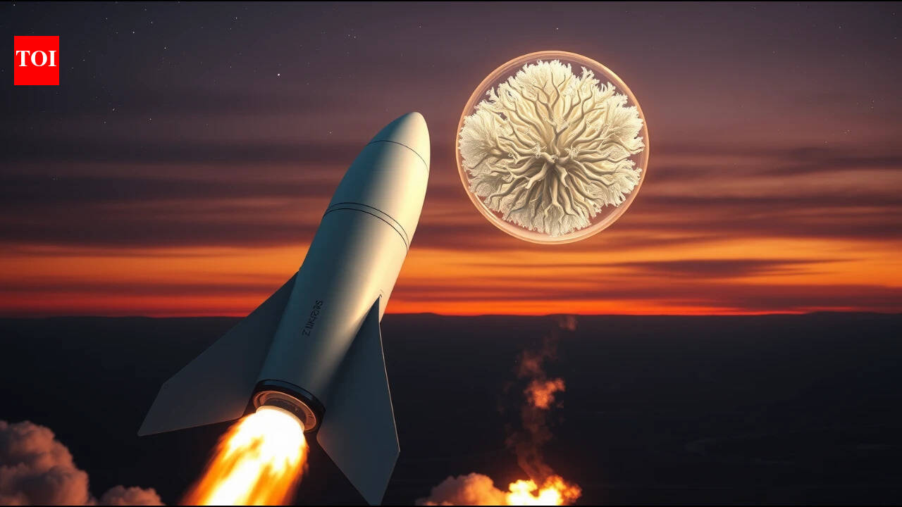 Mushrooms spent a month on the ISS, then were eaten in pasta on Earth