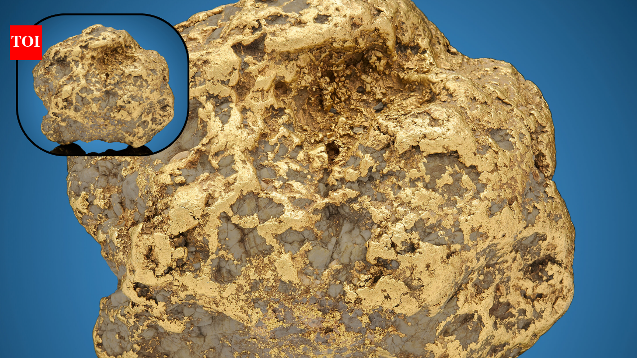 In 1998, Alaska miner found a 294.1-ounce gold nugget; 23 years later, it sold for $750,000