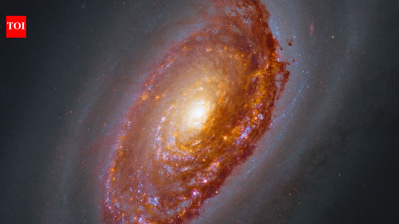 Black Eye Galaxy Image: Webb and Hubble reveal dusty star-forming band; traces ancient merger