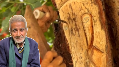 Meet Ishtiaq Ali: 85-year-old artist from Lucknow who carves Hindu gods on living trees without harming them; “When I sleep, I see Devi-Devtas…”