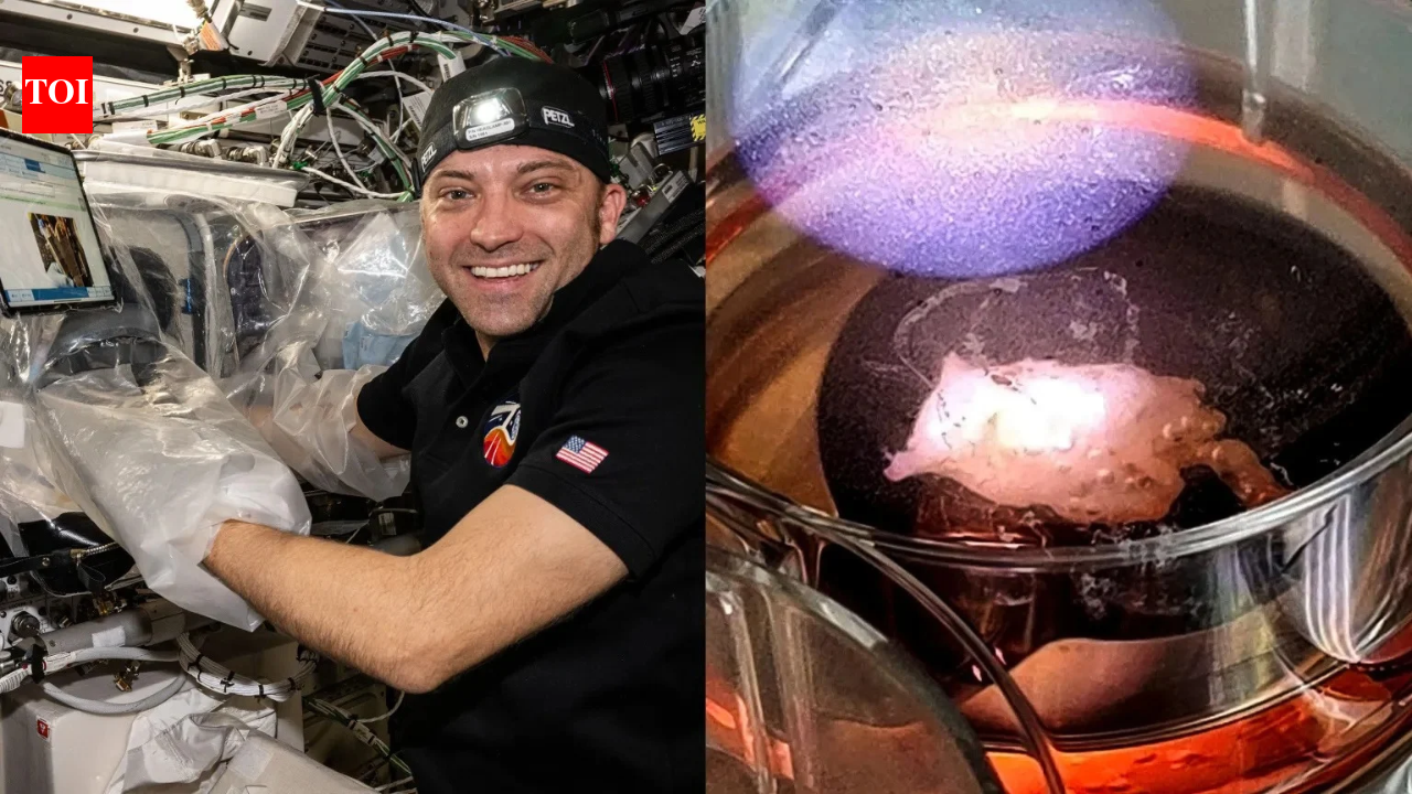 In 2018, a Russian bioprinter made human cartilage tissue in orbit; years later, NASA printed human heart tissue on the ISS