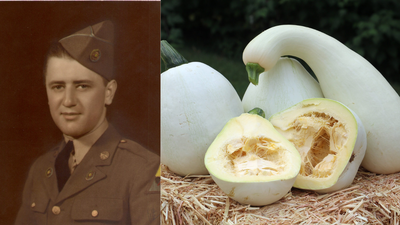 A Pennsylvania teacher preserved his family’s white pumpkin for nearly 40 years; the Thanksgiving heirloom is now grown by gardeners