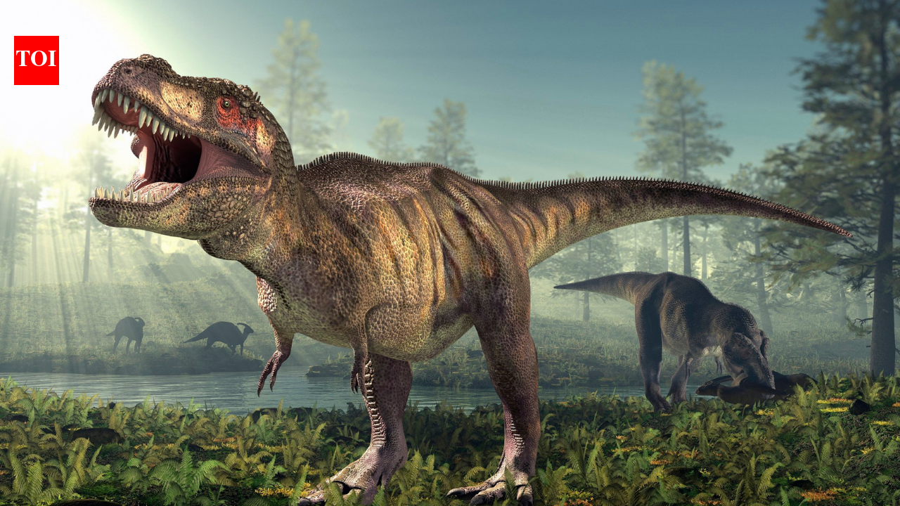 T. rex had human-like body temperature, fossil teeth reveal warm-blooded predator