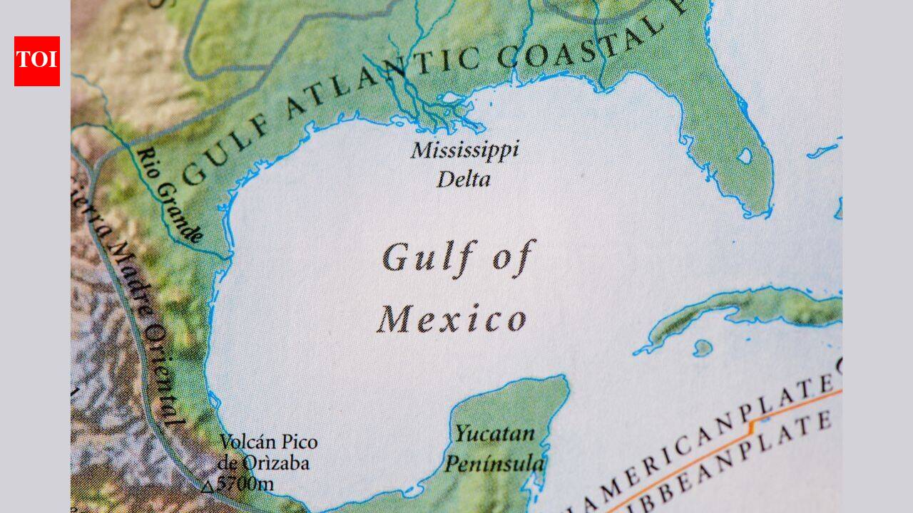 A new study found human activity adds more nitrogen than all natural sources combined in a quarter of the world’s coastal waterways, with the Gulf of Mexico among the major hotspots